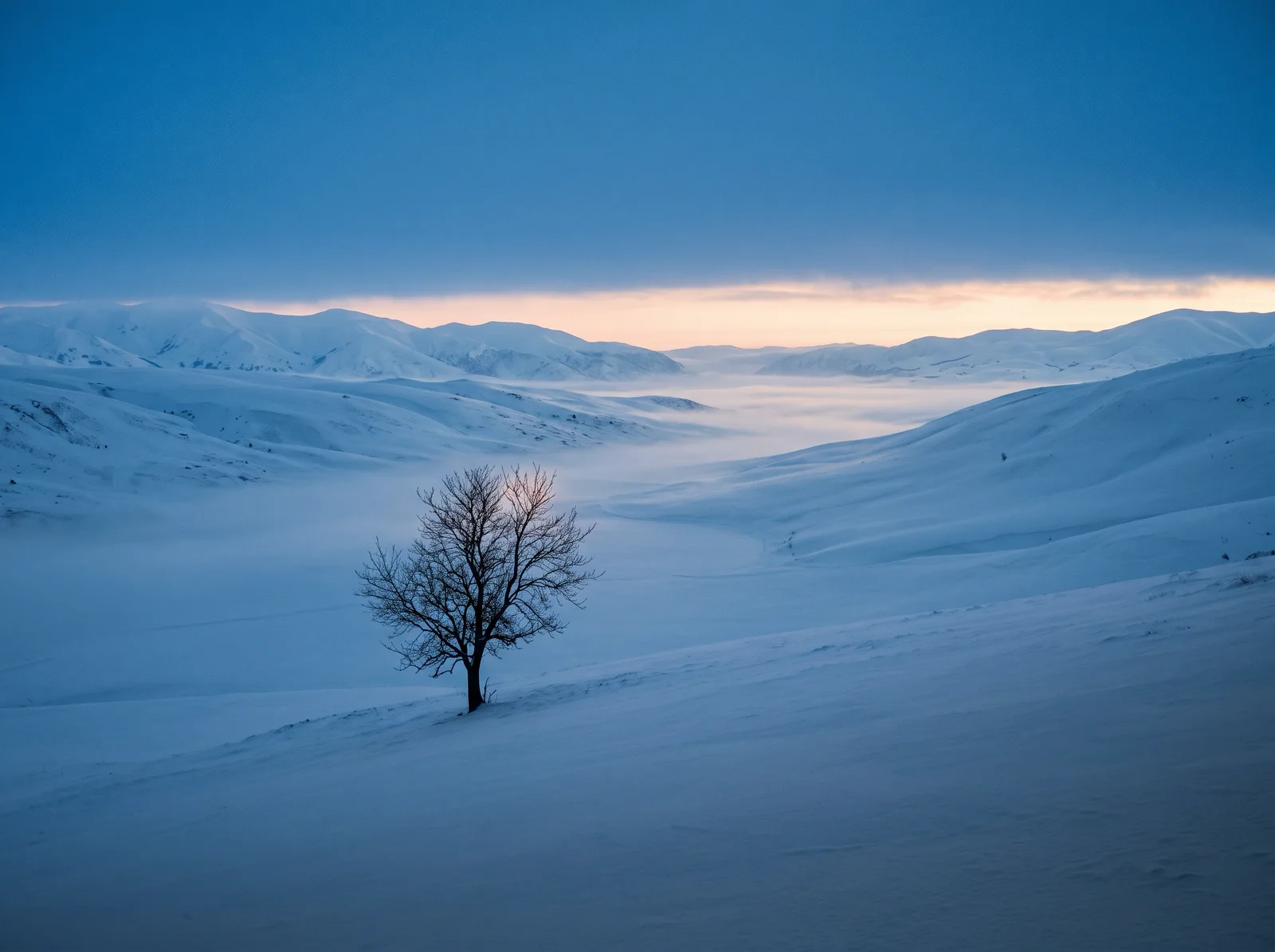 Distant Bare Tree in a Misty Snowfield — AI-generated photograph