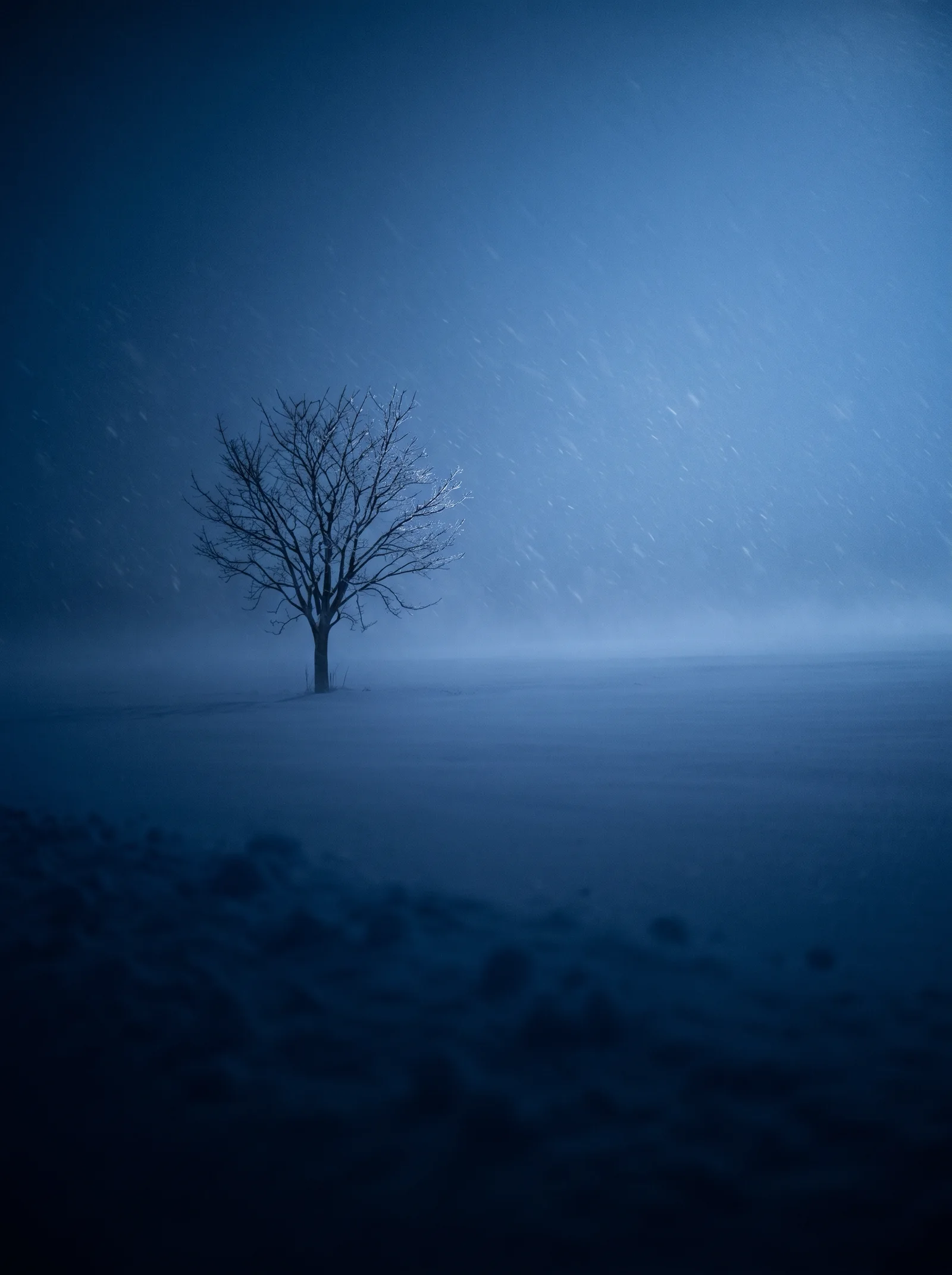 Lone Bare Tree in Nighttime Snowfall — AI-generated photograph