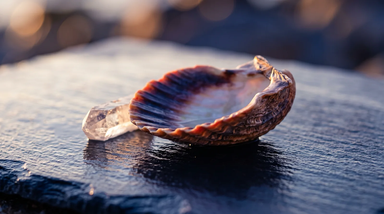Backlit Spiral Shell With Violet Shadows — AI-generated photograph