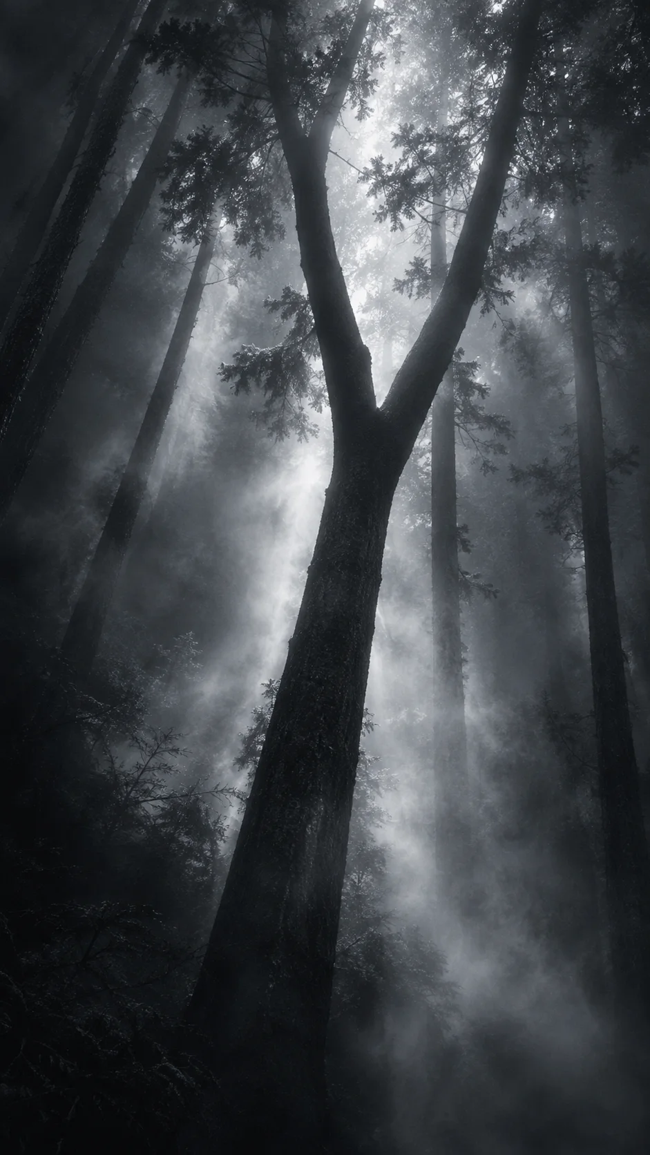 Forked Cedar Trunk in Silver Mist — AI-generated photograph