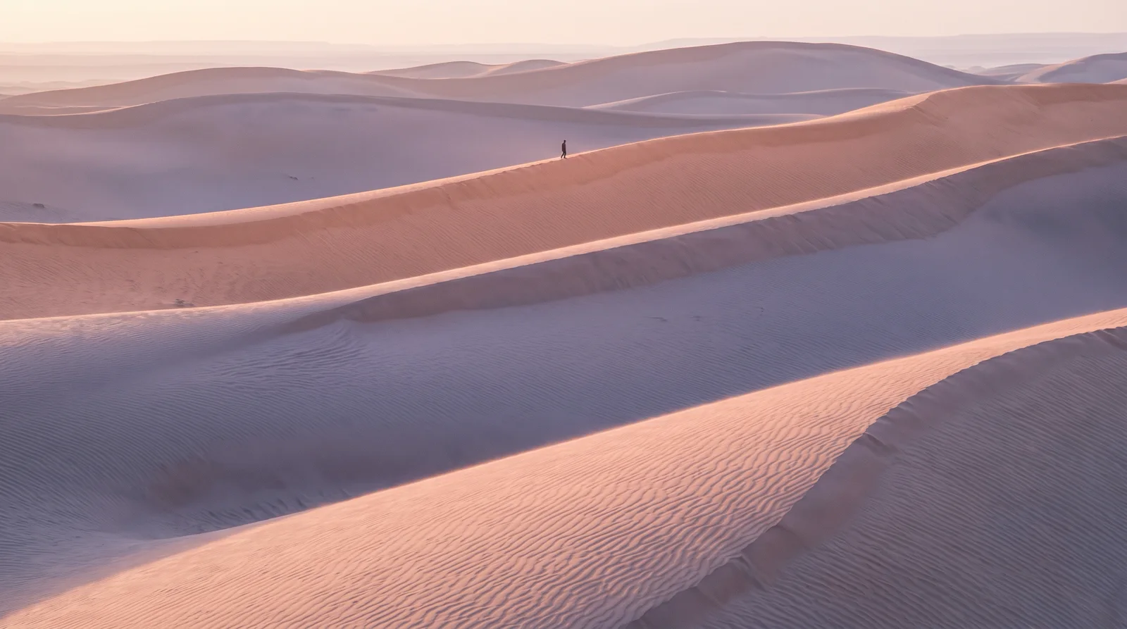 Rose-Gold Dawn Dunes in Amber and Lavender — AI-generated photograph
