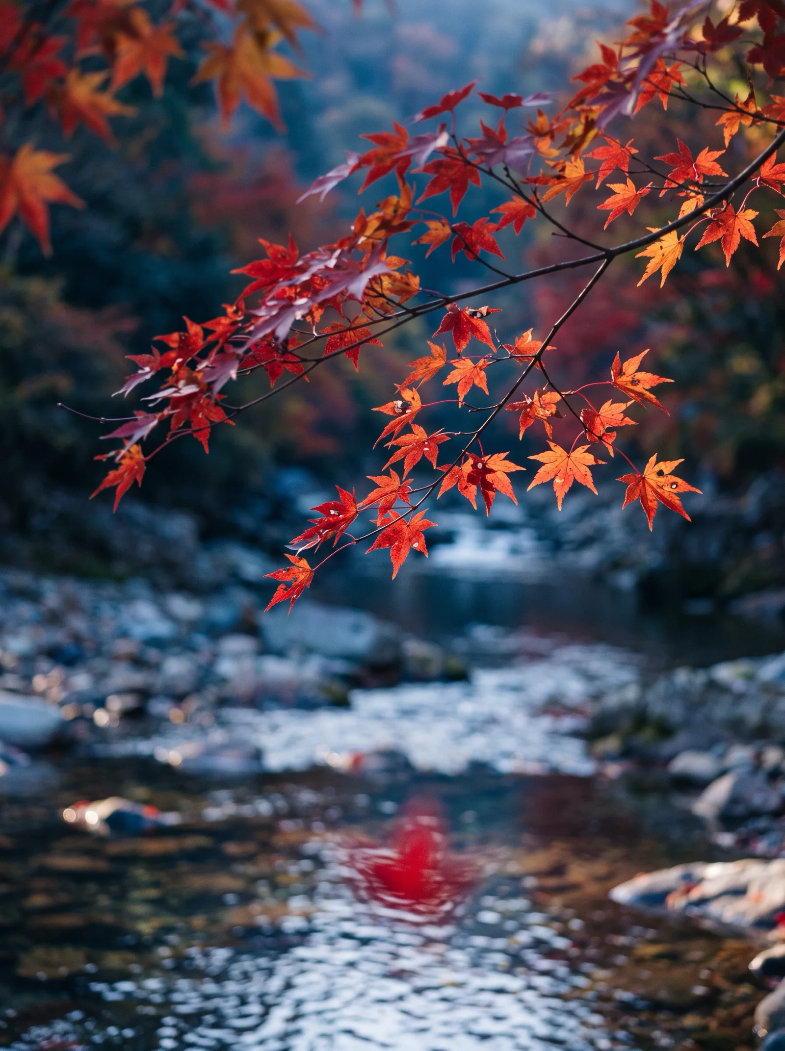 Backlit Maple Bough Over a Clear Ravine Stream — AI-generated photograph