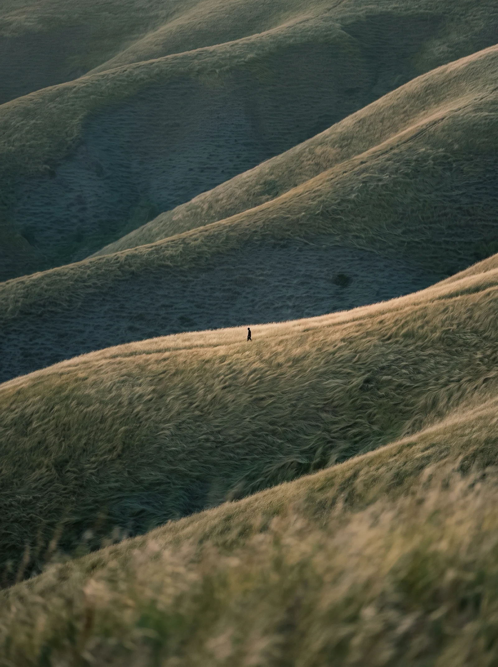 Grass Ridges at Dusk With a Tiny Figure — AI-generated photograph