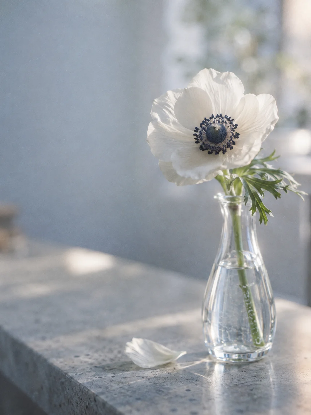 White Anemone in a Clear Glass Vase — AI-generated photograph