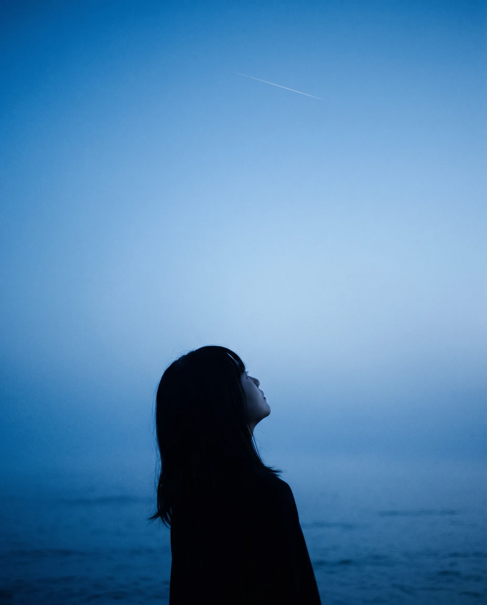 Profile Silhouette Against Blue Sea Mist — AI-generated photograph