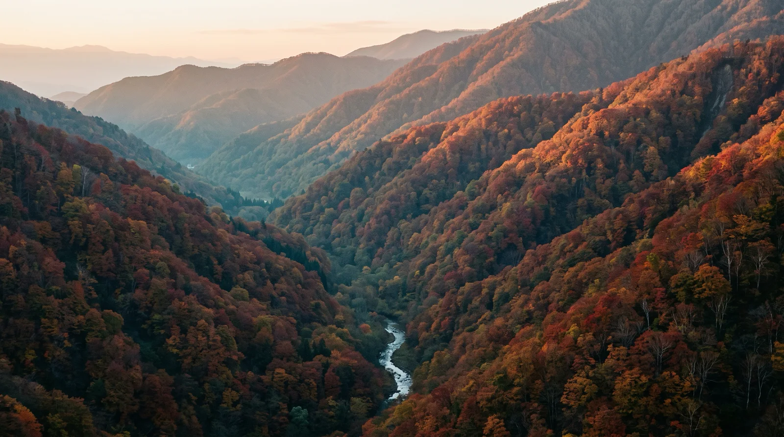Layered Autumn Forest Slopes in Morning Light — AI-generated photograph