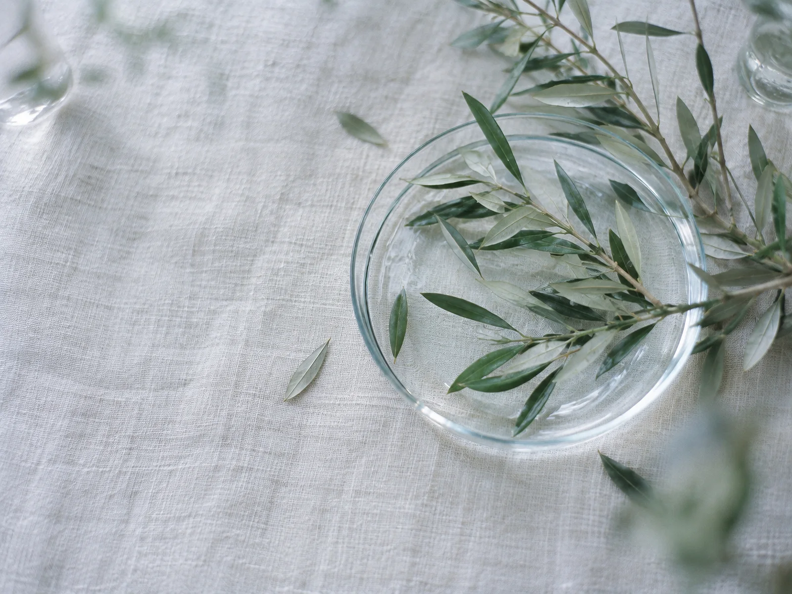 Olive Sprigs Beside a Glass Dish — AI-generated photograph