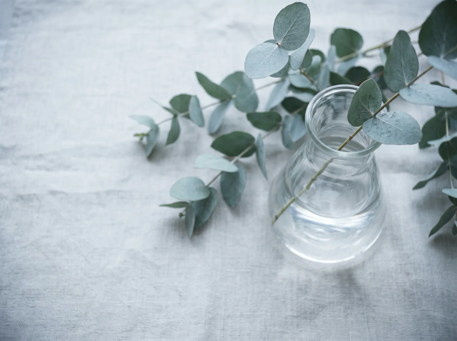 Overhead Eucalyptus Sprigs on Pale Linen — AI-generated photograph