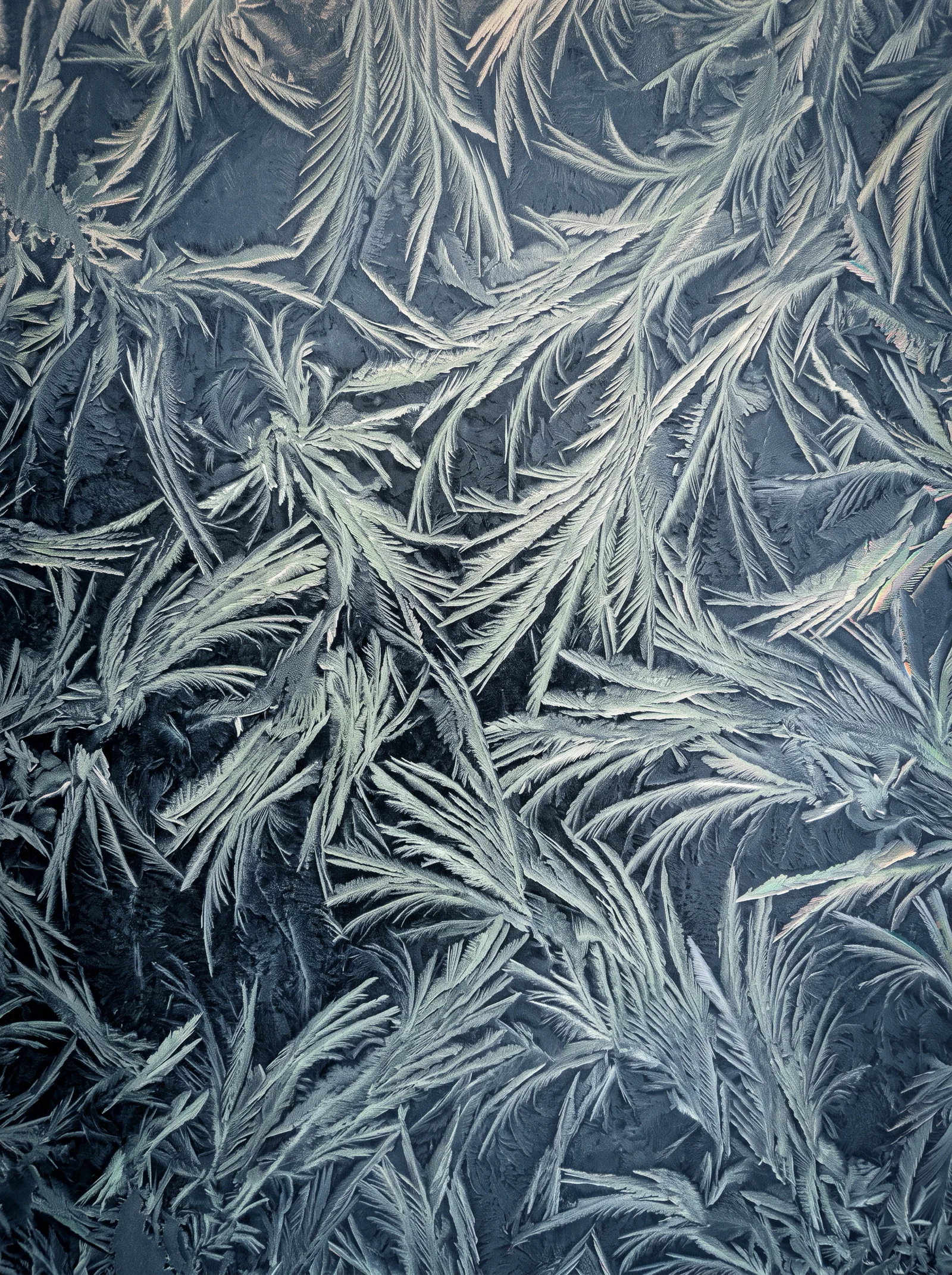 Feather Frost Crystals From Above — AI-generated photograph