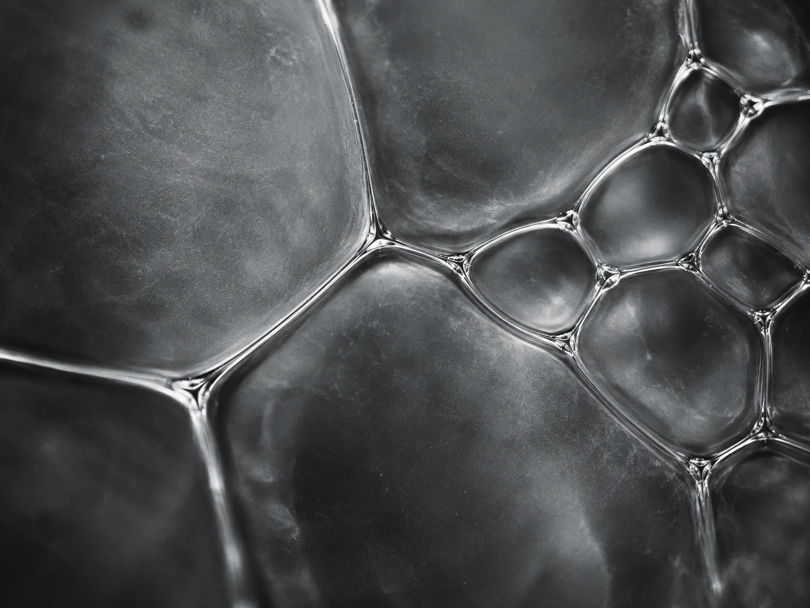Silver Foam Cells Filling the Frame — AI-generated photograph