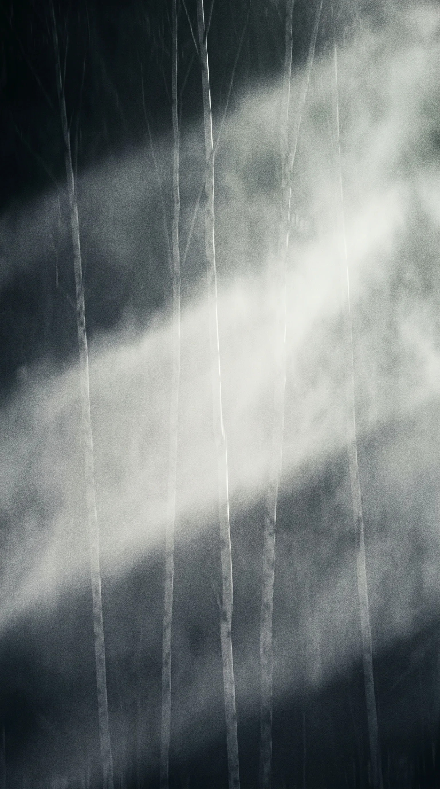 Streaked Birch Trunks in Silver Mist — AI-generated photograph