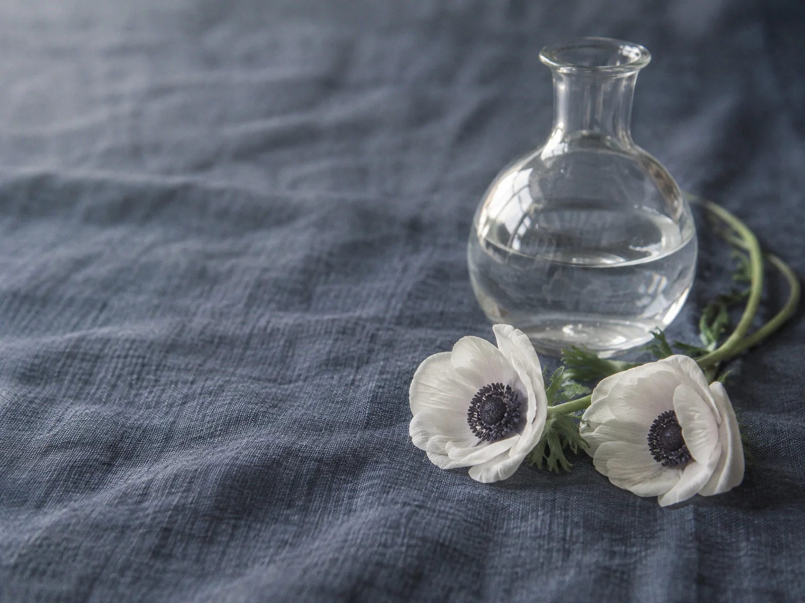 White Anemones Beside a Glass Flask — AI-generated photograph