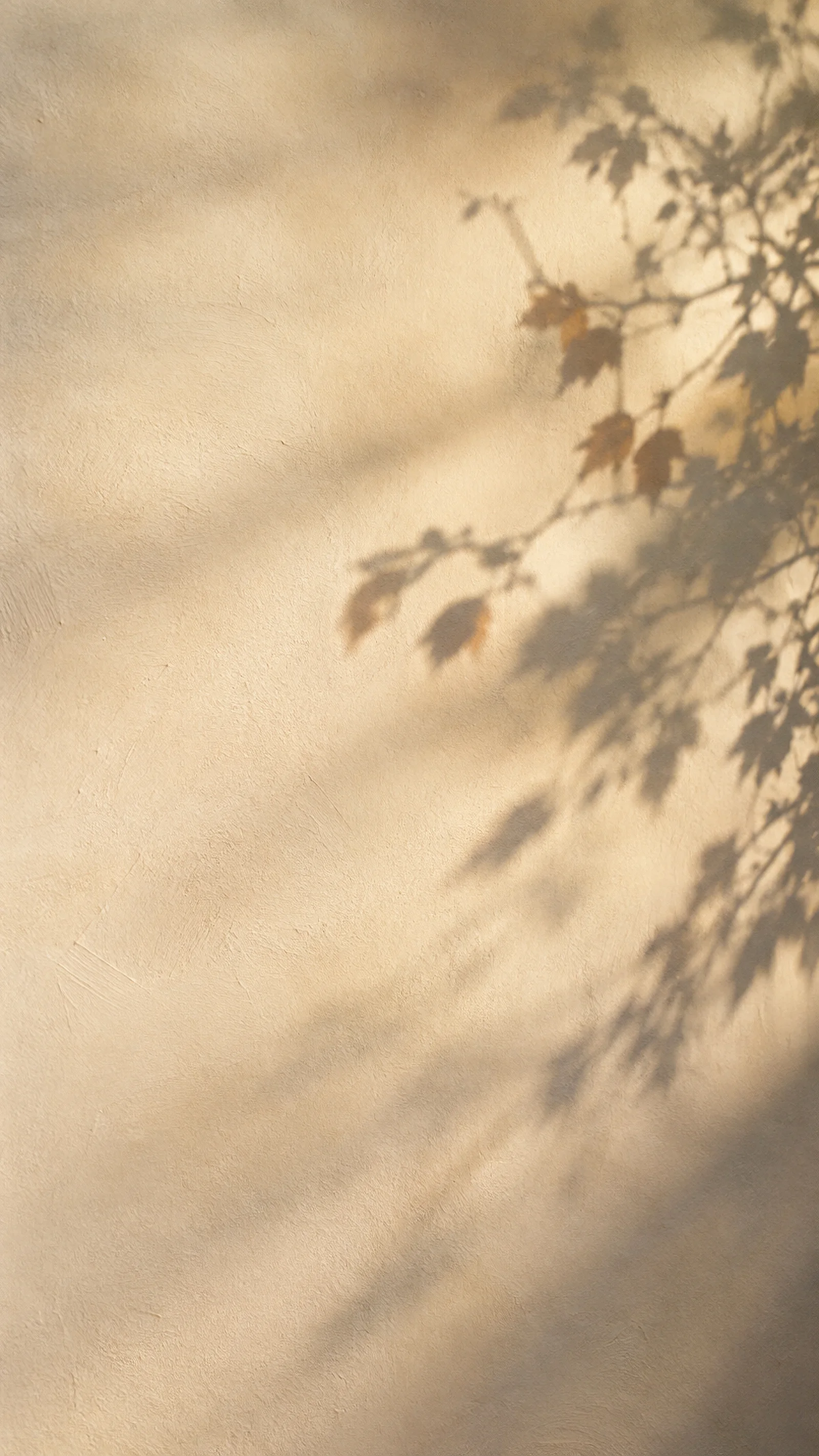 Leaf Shadows Across a Cream Plaster Wall — AI-generated photograph