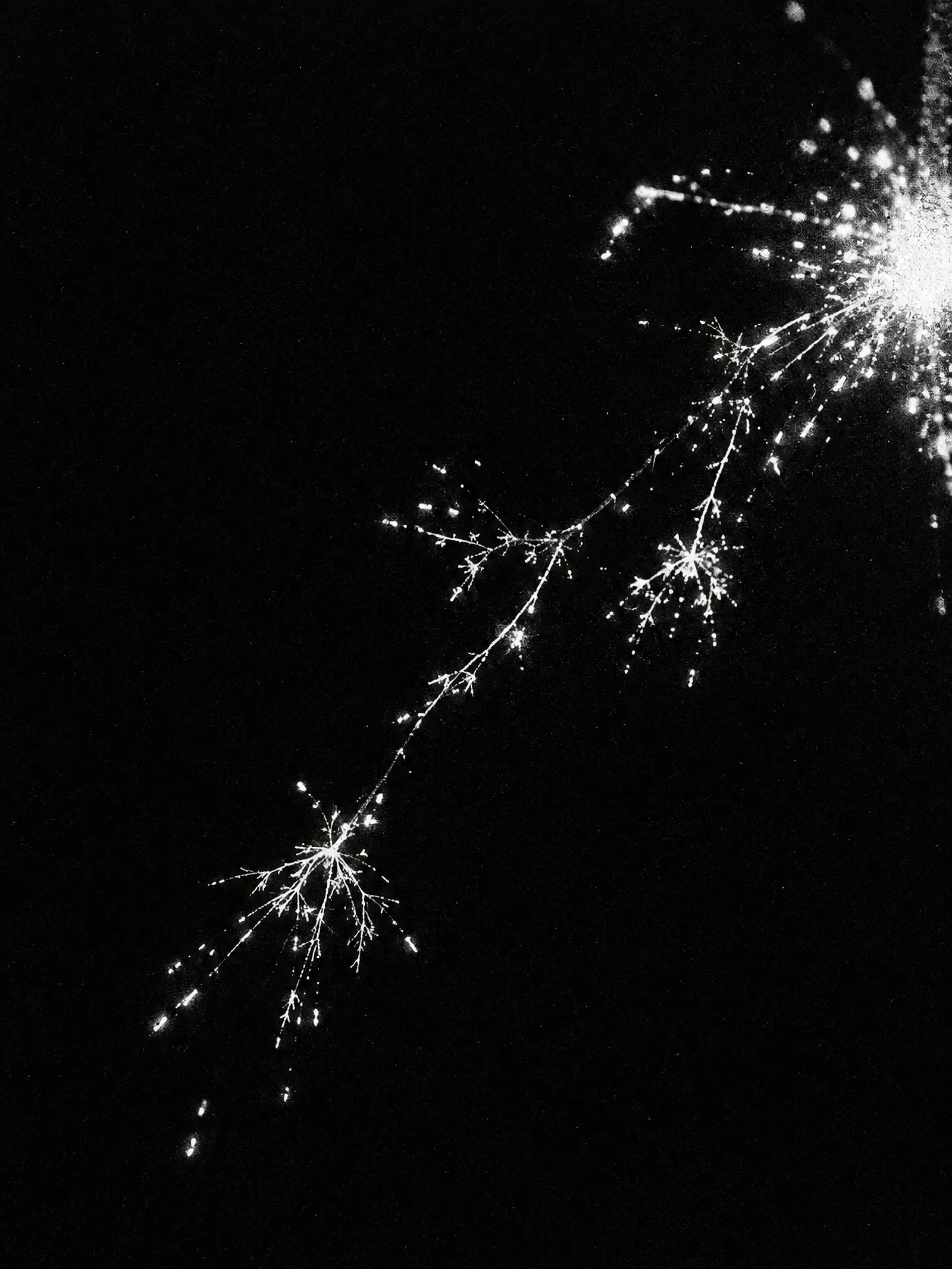 Sparse Sparkler Branches in Monochrome — AI-generated photograph