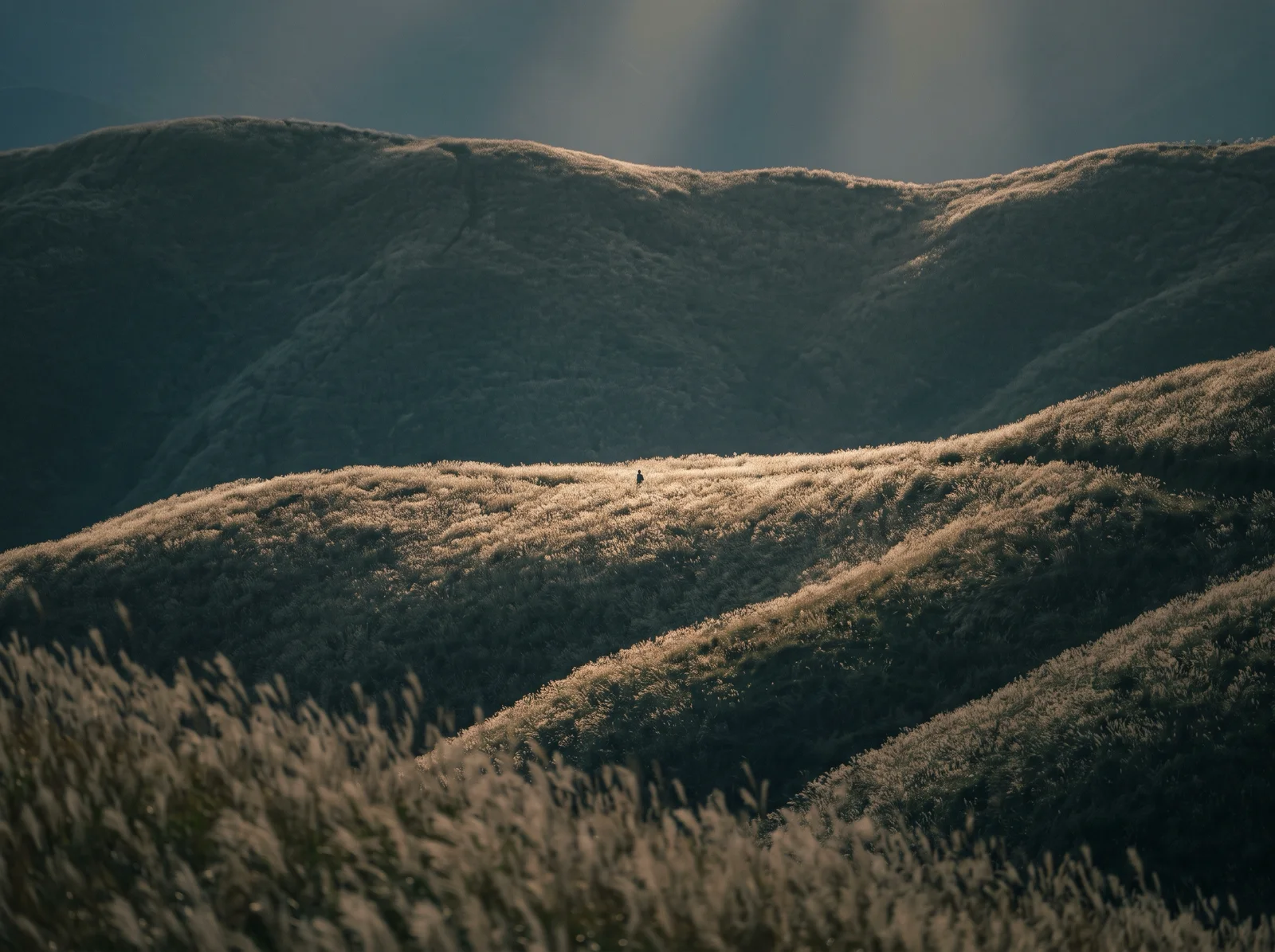 Layered Autumn Pampas Ridges at Dusk — AI-generated photograph