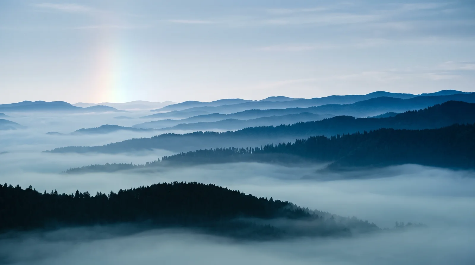 Layered Conifer Ridges in Valley Morning Mist — AI-generated photograph