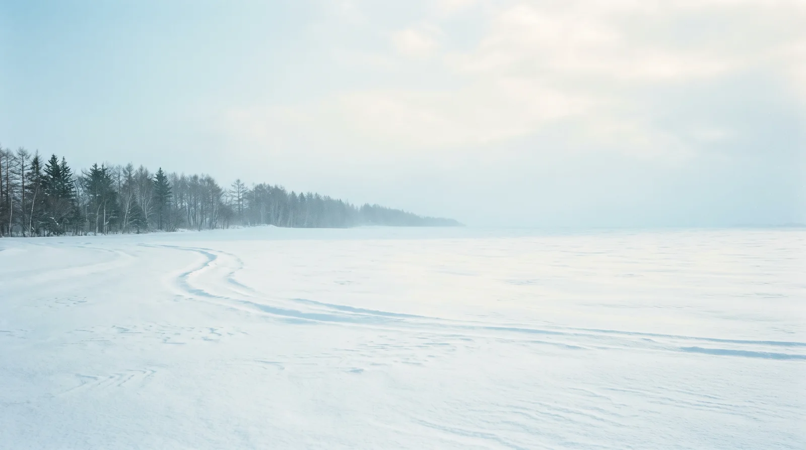 Windbreak Line Across an Empty Snowfield — AI-generated photograph