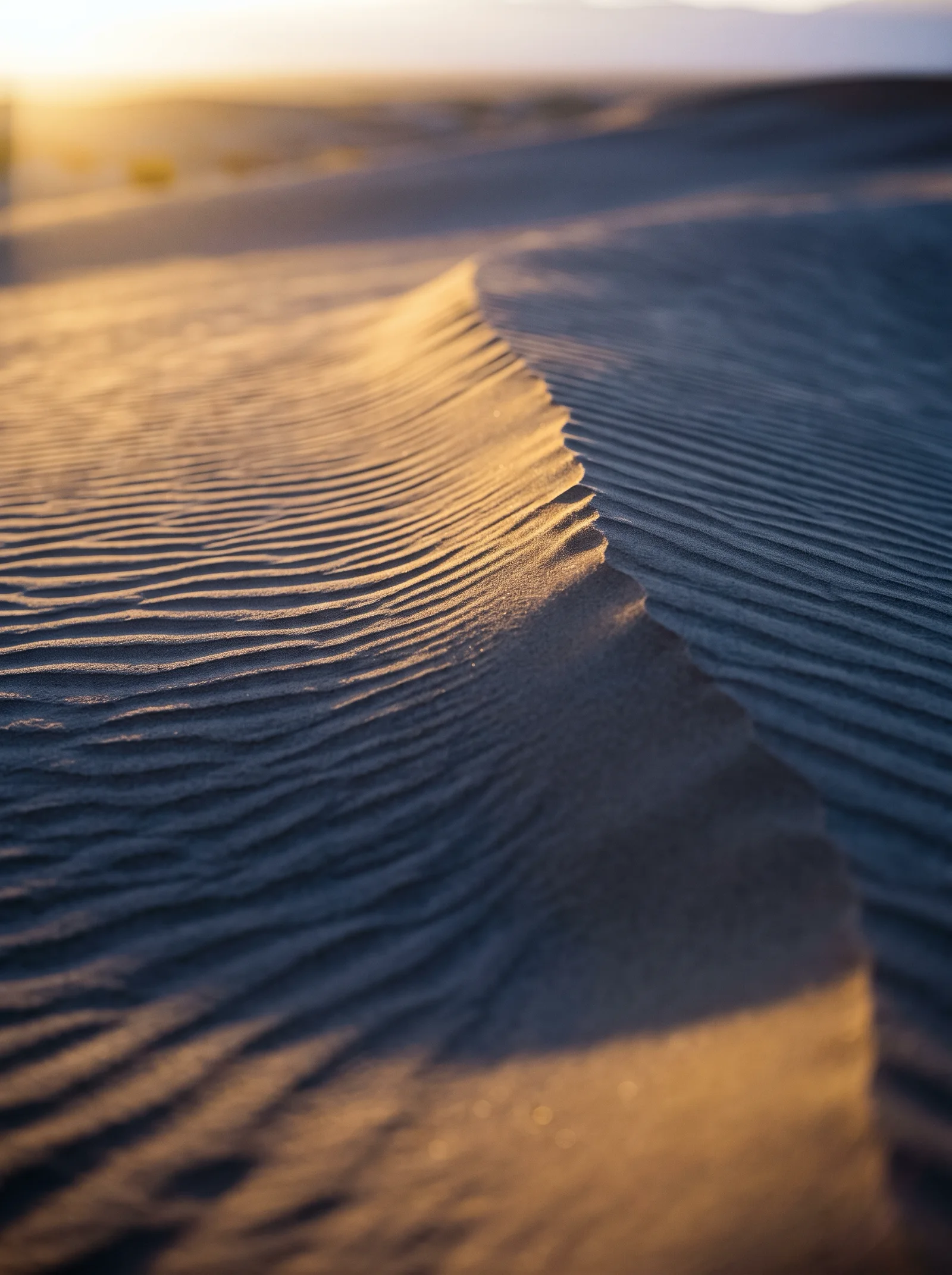 Sunlit Dune Ripples with Violet Shadows — AI-generated photograph