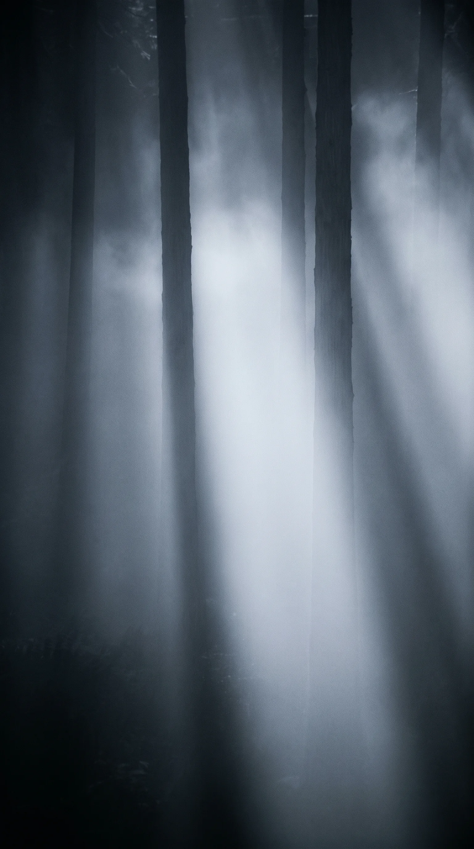 Mist Rising Between Cedar Trunks in Monochrome — AI-generated photograph