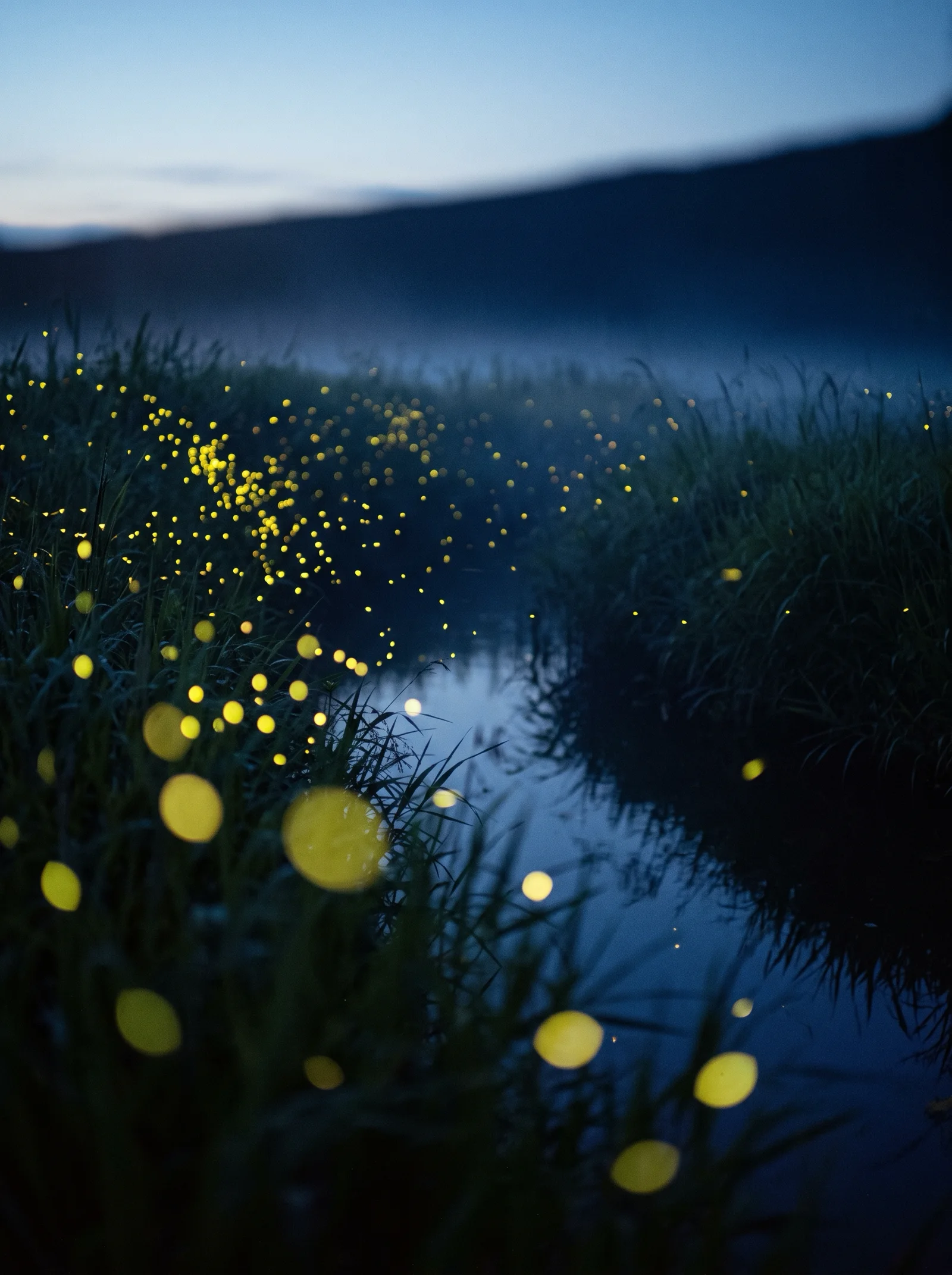 Fireflies Drifting Over Night Water — AI-generated photograph
