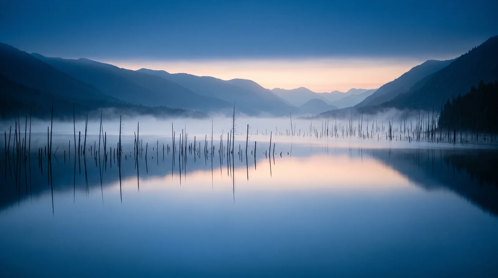 Dead Trees in Lake Mist at Dawn — AI-generated photograph