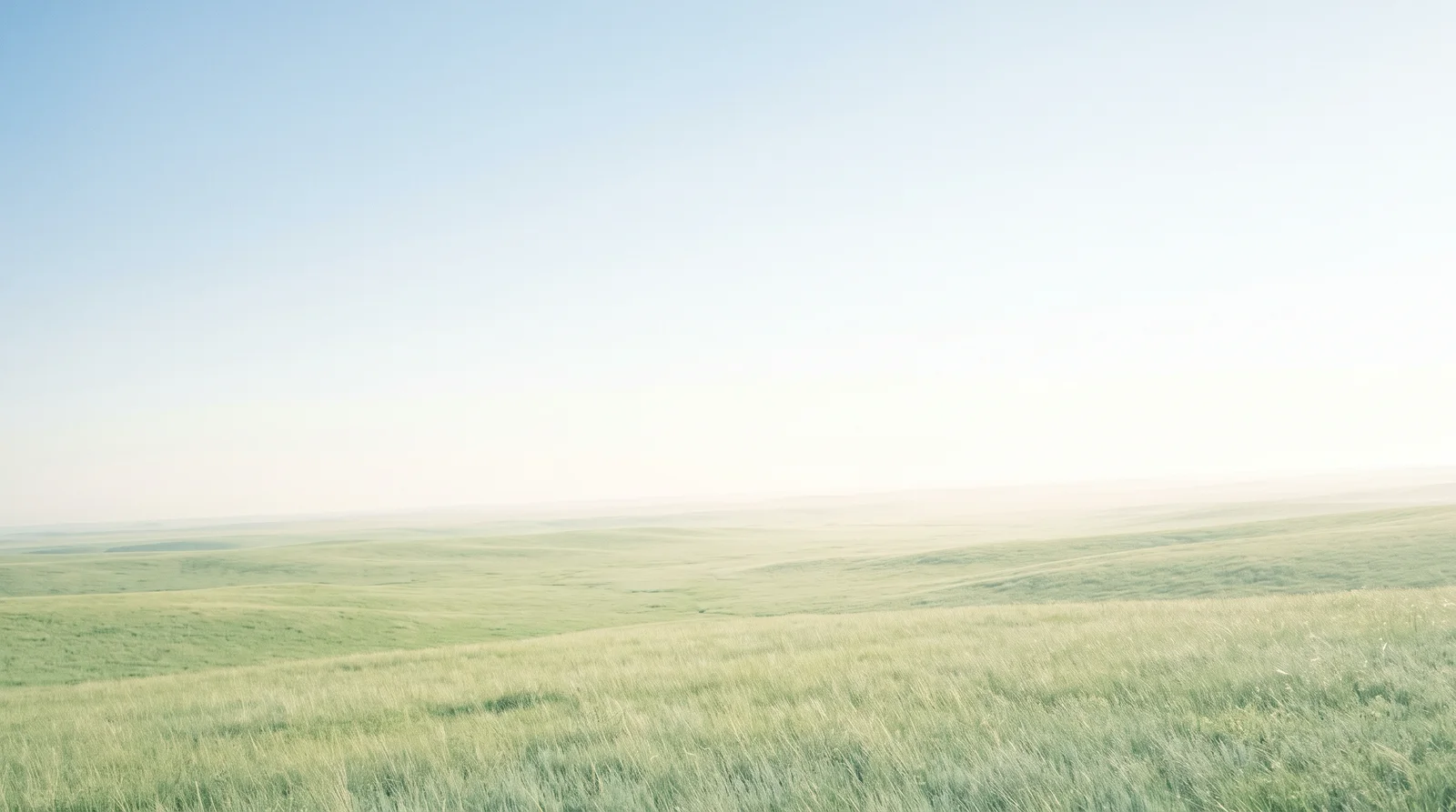 Green Highland Meadow under a Pale Blue Sky — AI-generated photograph