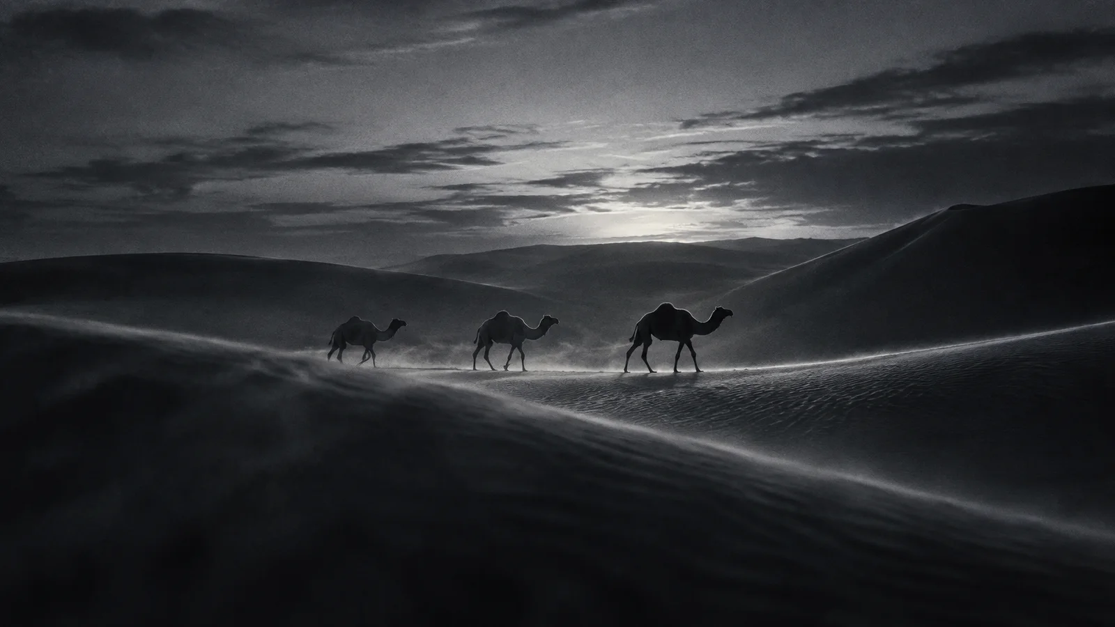 Camels Crossing a Dark Sand Saddle — AI-generated photograph