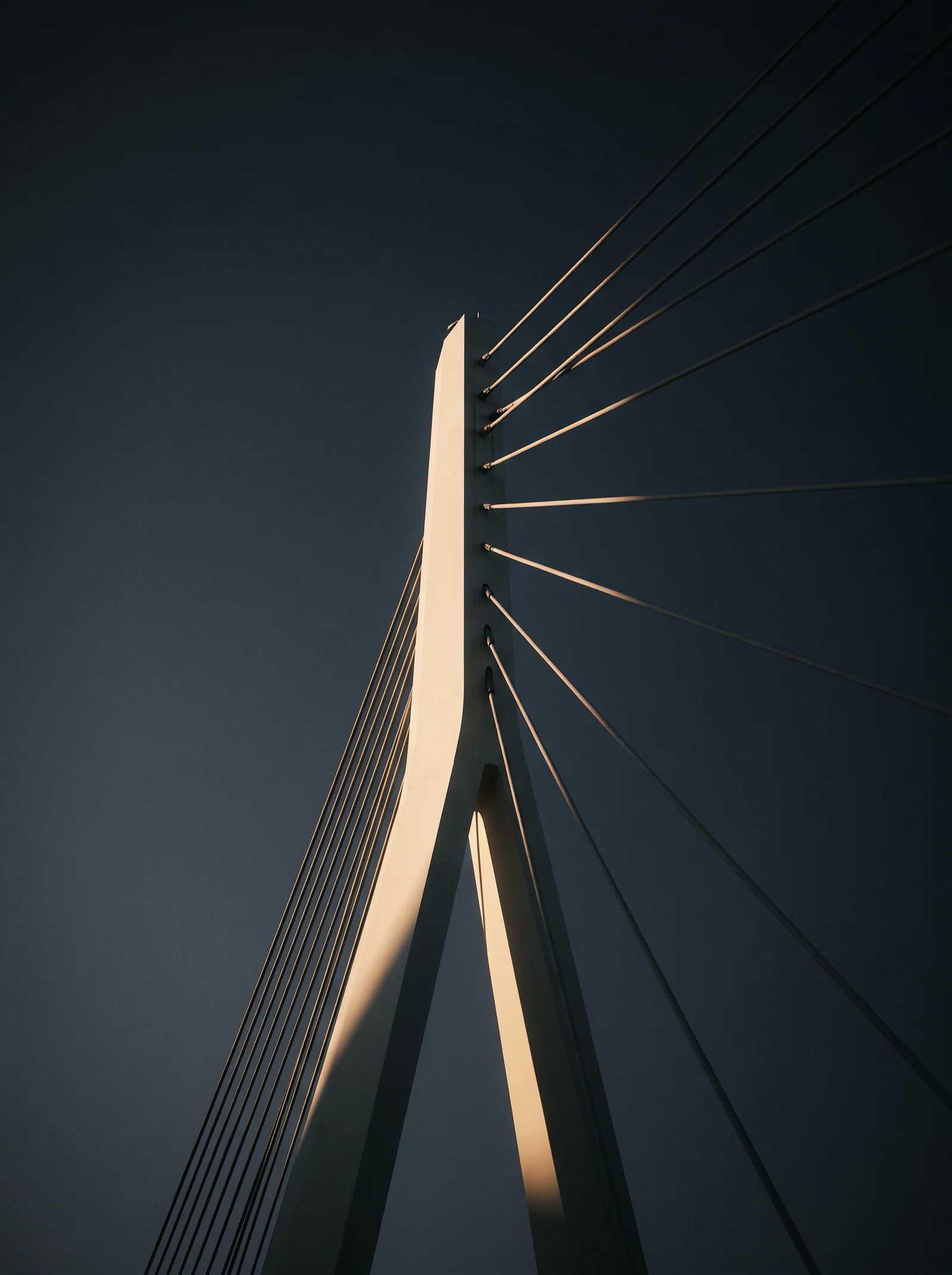 Cable-Stayed Bridge Pylon in Raking Evening Light — AI-generated photograph