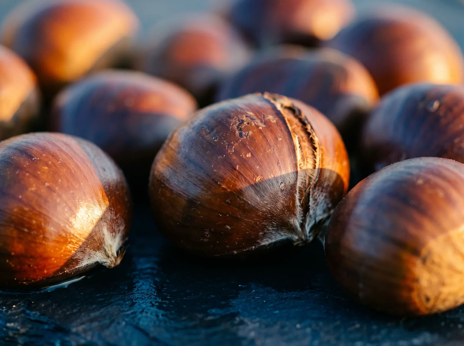 Backlit Chestnuts With Cool Blue Shadows — AI-generated photograph