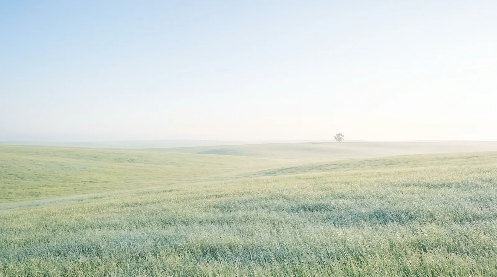 Rolling Green Highland Meadow in Summer Light — AI-generated photograph
