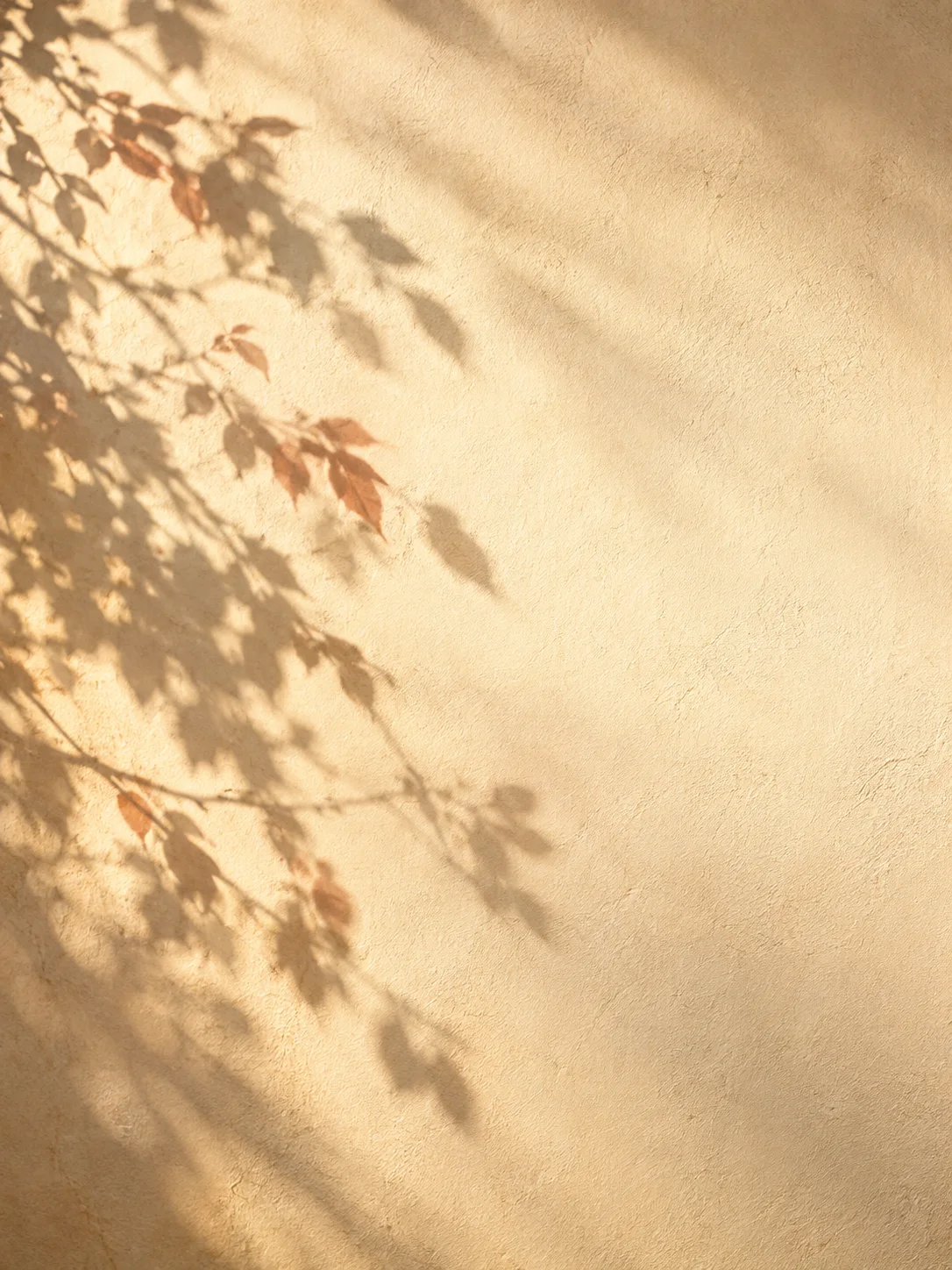 Autumn Branch Shadows Along a Cream Wall — AI-generated photograph