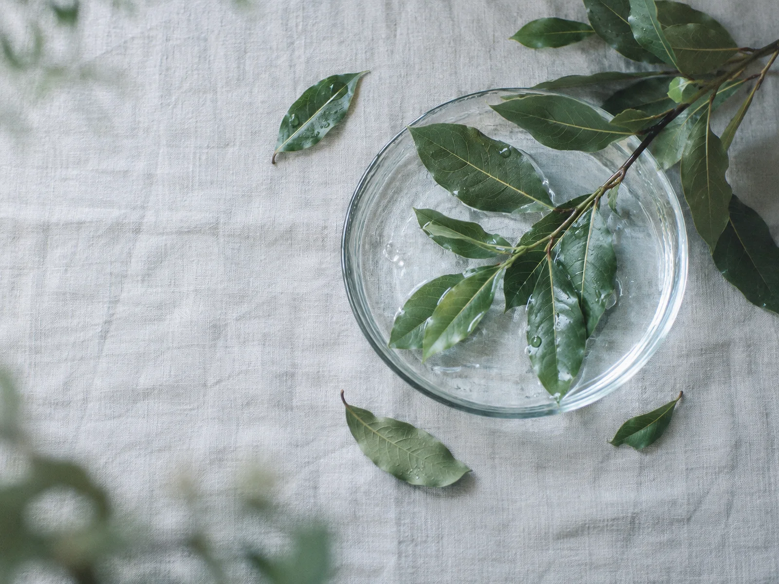 Bay Leaves Beside a Glass Dish — AI-generated photograph