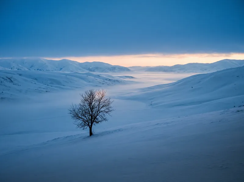 Distant Bare Tree in a Misty Snowfield — AI-generated photograph