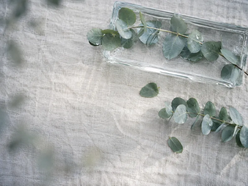Eucalyptus Beside a Rectangular Glass Tray — AI-generated photograph
