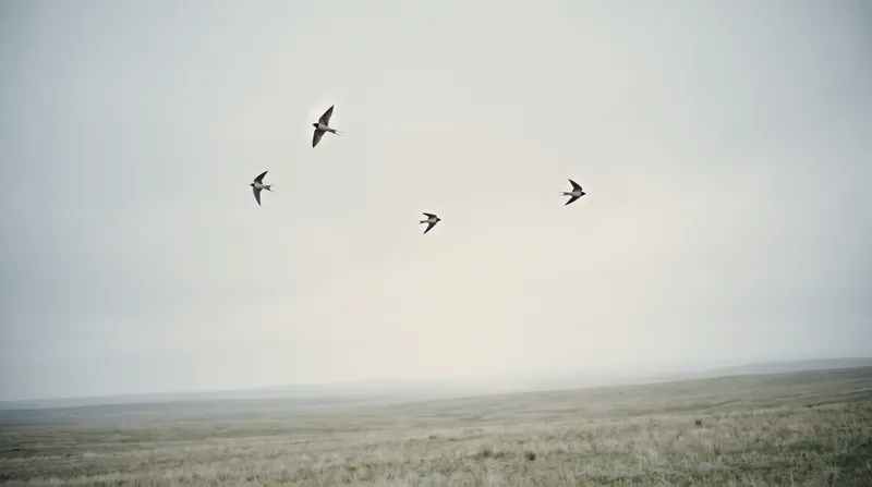 Swallows Over a Pale Overcast Plain — AI-generated photograph