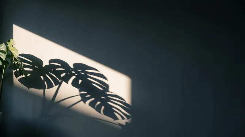 Hard Leaf Shadow on a White Plaster Wall — AI-generated photograph