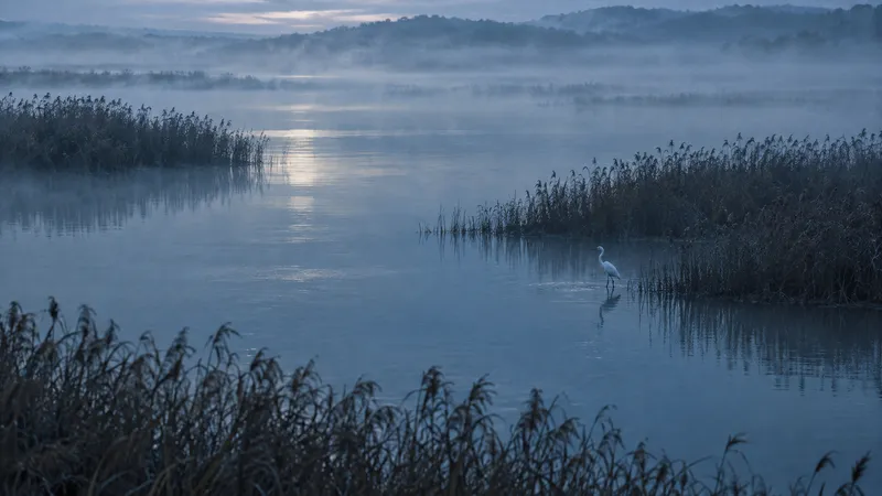 White Egret Beside Reeds at Dawn — AI-generated photograph