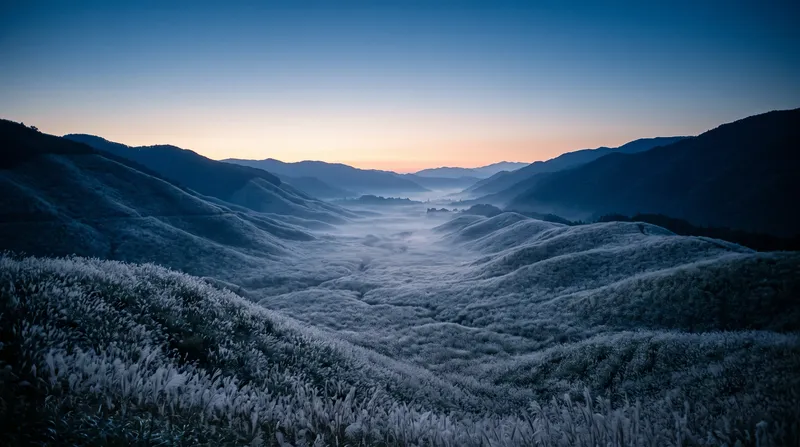 Silver Grass Hills in Dawn Mist — AI-generated photograph