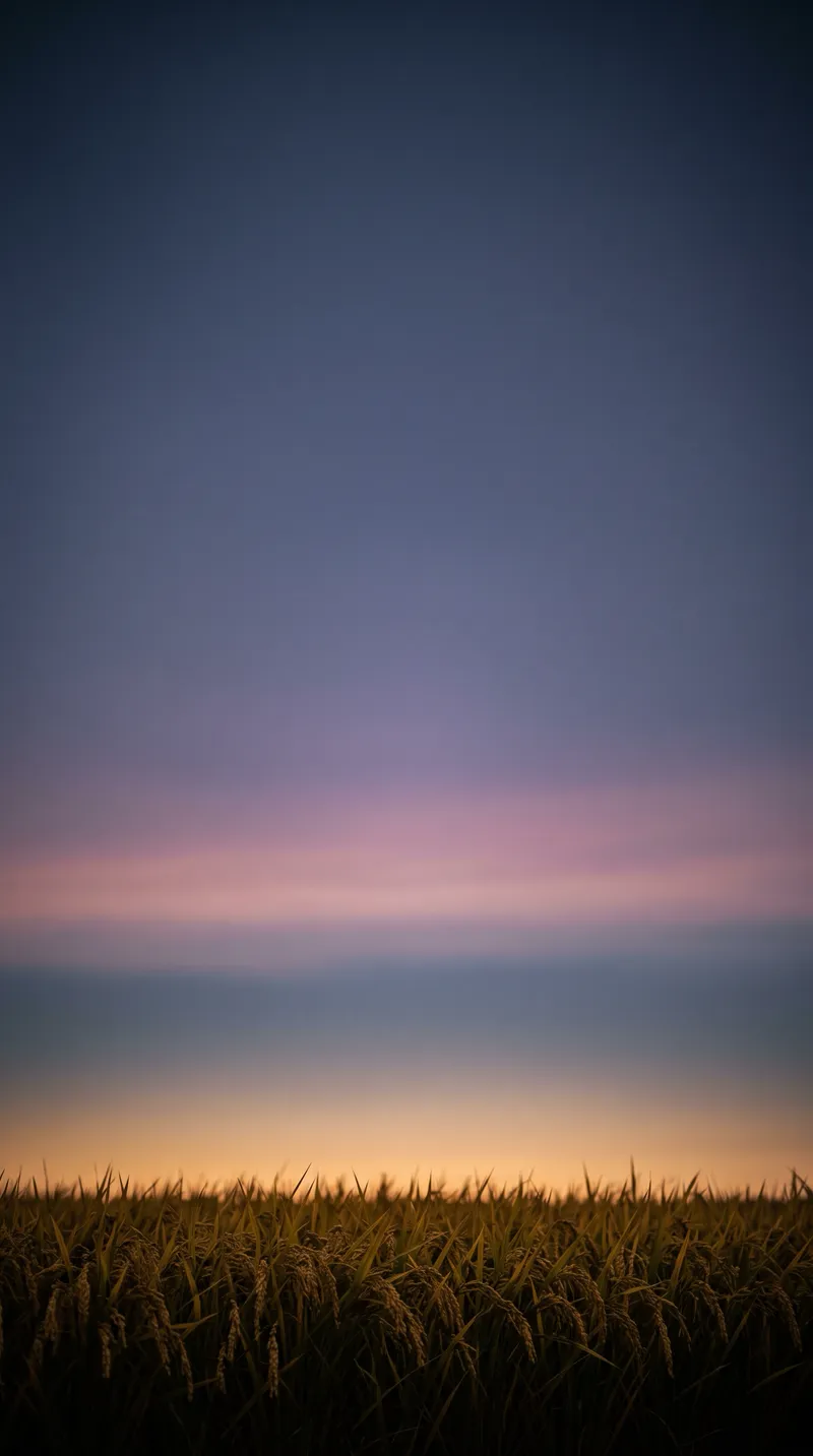 Golden Rice Horizon at Blue Hour — AI-generated photograph