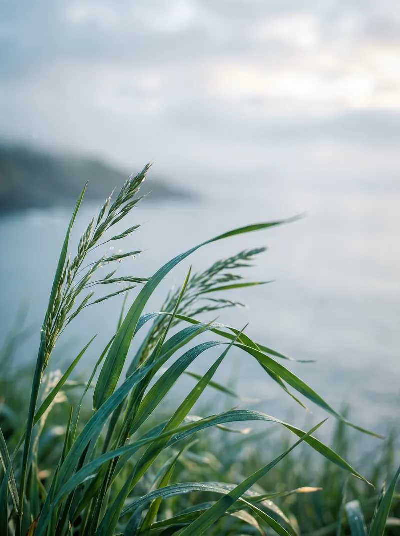 Windblown Coastal Grass Blades in Cool Morning Light — AI-generated photograph