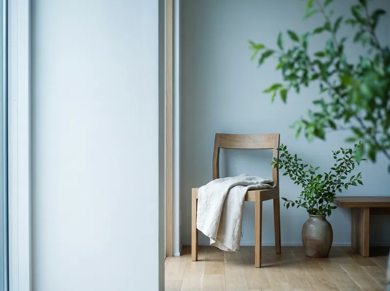 Minimal Living Room Corner in Overcast Light — AI-generated photograph