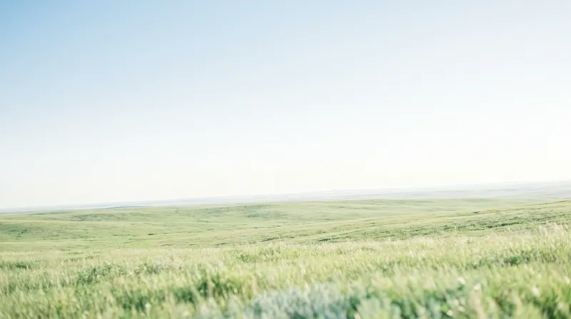 Sunlit Green Meadow under a Pale Summer Sky — AI-generated photograph