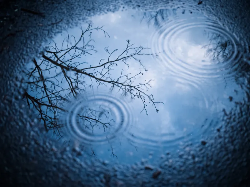 Top-Down Puddle With Ripples and Reflected Branches — AI-generated photograph