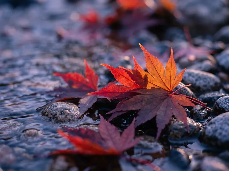 Crimson Maple Leaves on a Clear Autumn Stream — AI-generated photograph