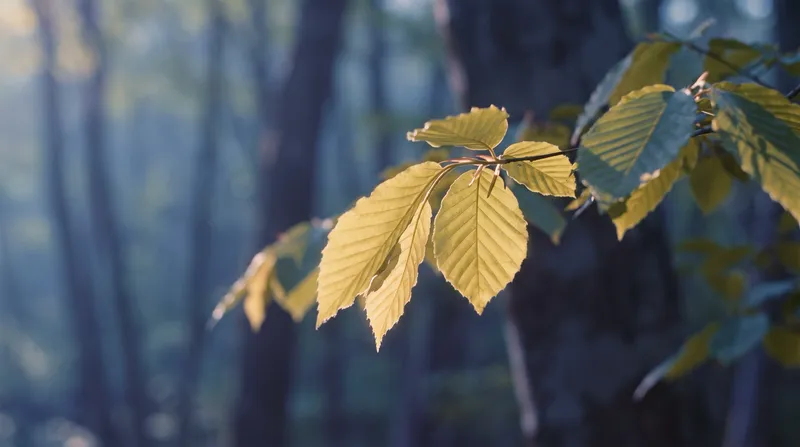 Backlit Fresh-Green Leaves with Misty Depth — AI-generated photograph