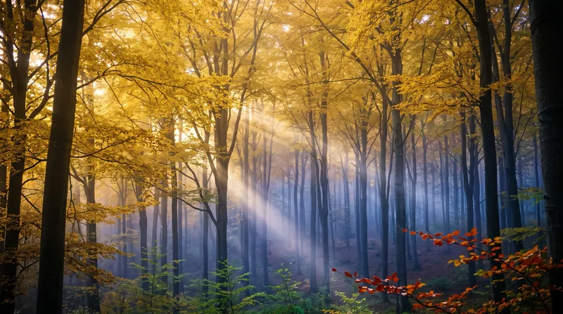 Golden Beech Forest With Light Shafts — AI-generated photograph