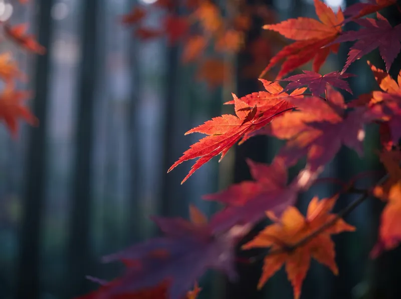 Backlit Crimson Foliage in Amber Bokeh — AI-generated photograph