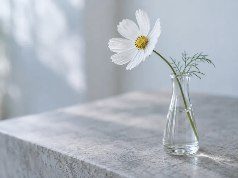 White Cosmos in a Glass Vase — AI-generated photograph