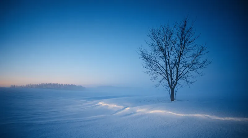 Lone Bare Tree on a Blue Snowfield at Twilight — AI-generated photograph