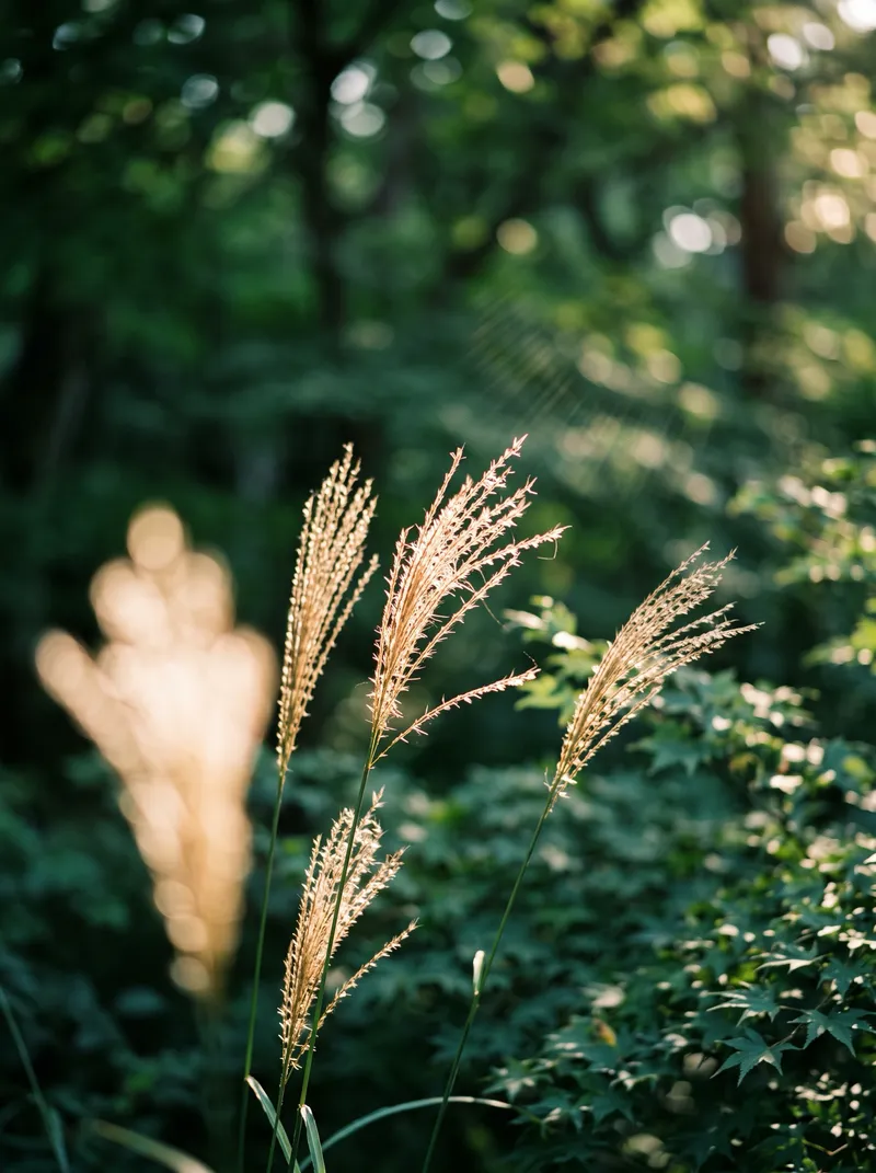 Silver Grass Plumes in Dappled Light — AI-generated photograph